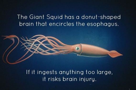 science_is_awesome
