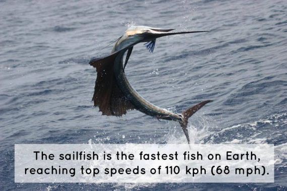 science_is_awesome