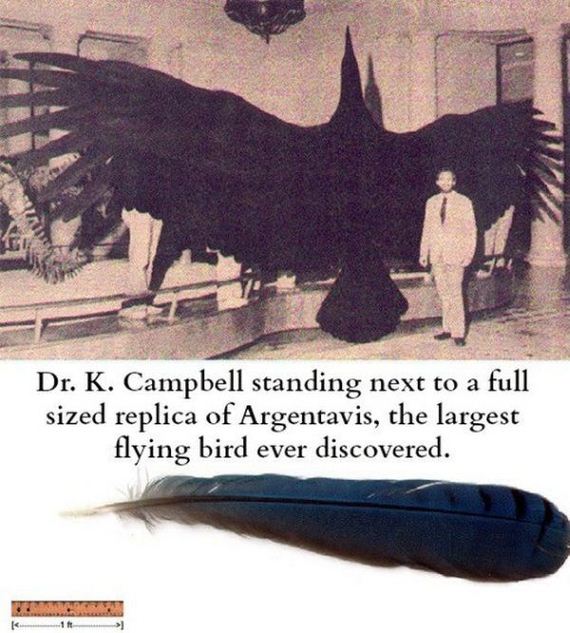 science_is_awesome