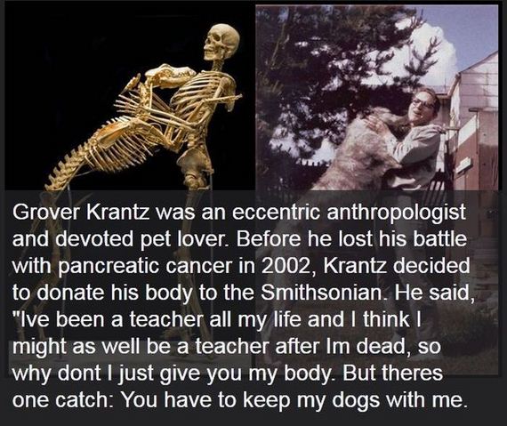 science_is_awesome