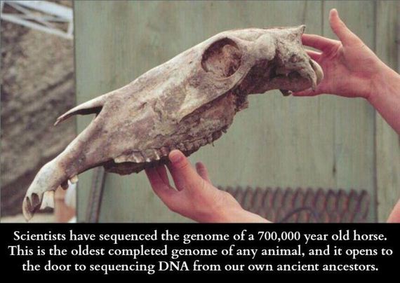 science_is_awesome