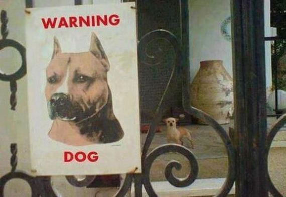 seems_legit