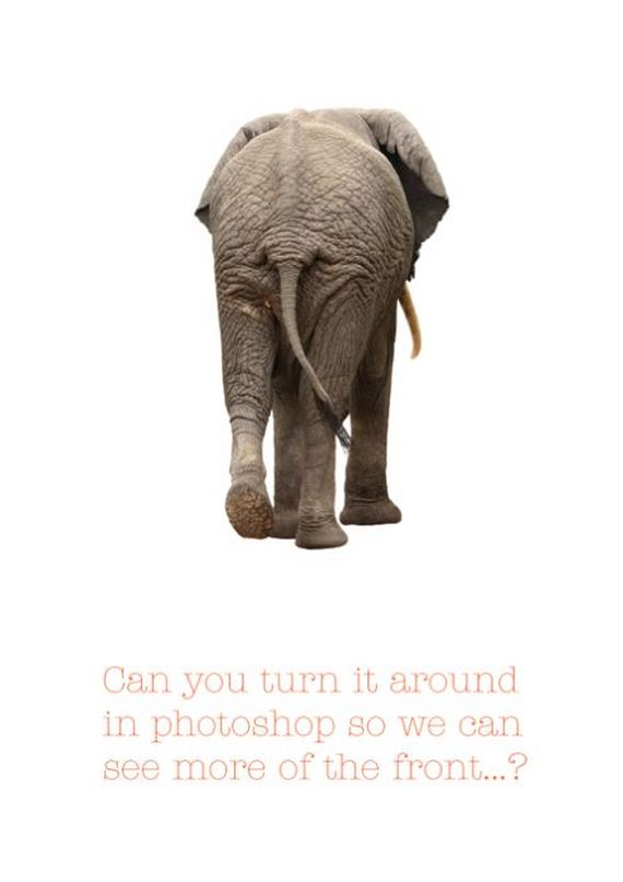 sharp_suits_worst_client_comment_posters