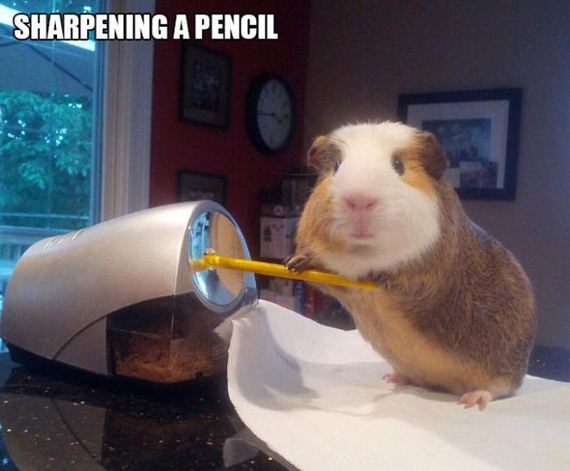 sharpening_his_pencil