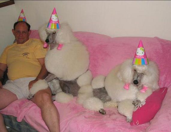 shindigs-you-wish-you-were-invited-to-6z5