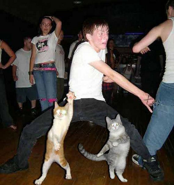 shindigs-you-wish-you-were-invited-to-6z5