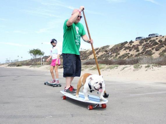 skateboarding_bulldogs