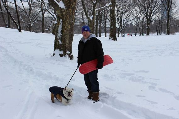 skateboarding_bulldogs