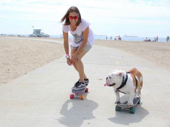 skateboarding_bulldogs
