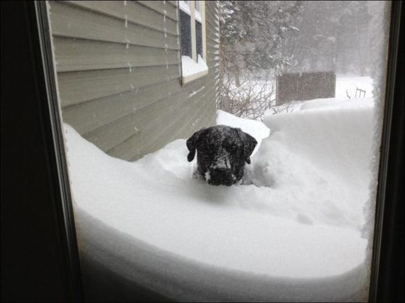 snow_storm_nemo