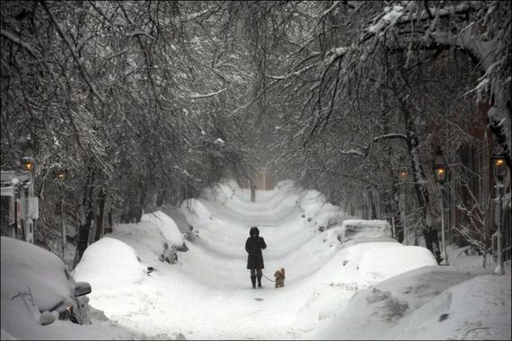 snow_storm_nemo