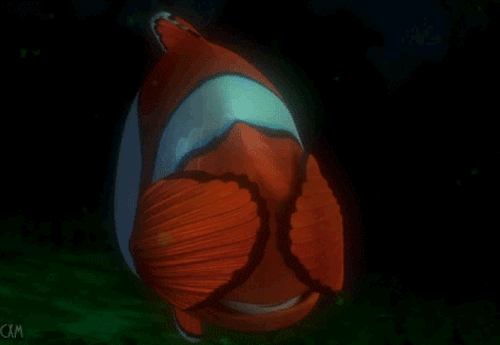 Surviving Winter Storm Nemo, As Told Through "Finding Nemo" GIFs.