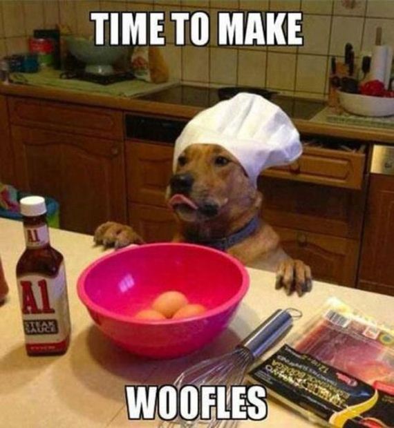 stupid_but_clever_puns