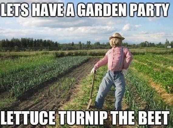 stupid_but_clever_puns