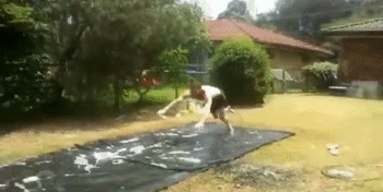 summer_slip_and_slide