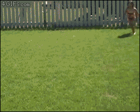 summer_slip_and_slide
