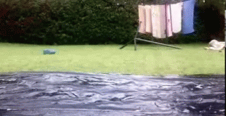 summer_slip_and_slide