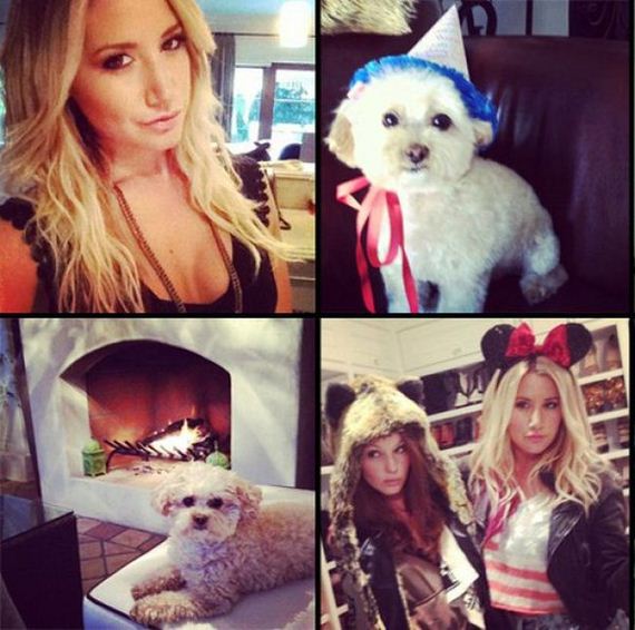 the-best-and-worst-celebrity-instagrams