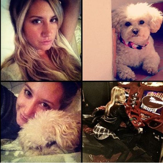 the-best-and-worst-celebrity-instagrams