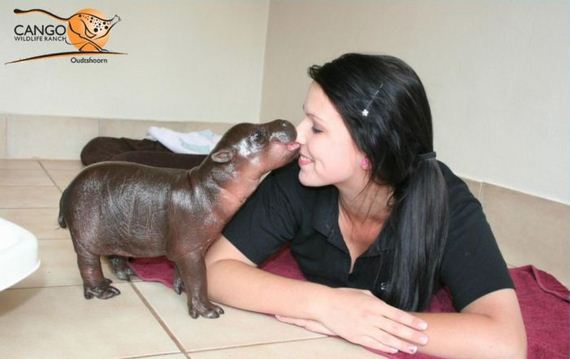 the-best-animal-photos