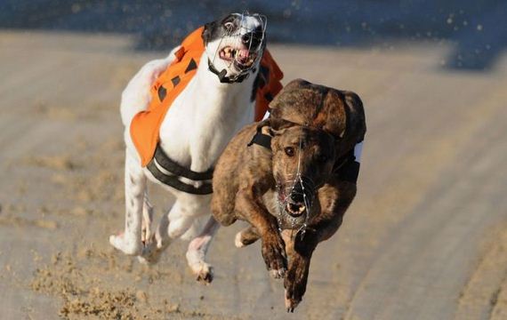 the-best-sport-photos-of-2012