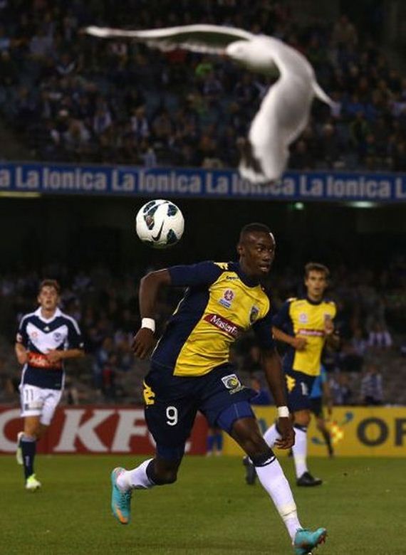 the-best-sport-photos-of-2012