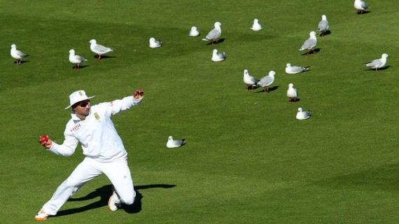 the-best-sport-photos-of-2012