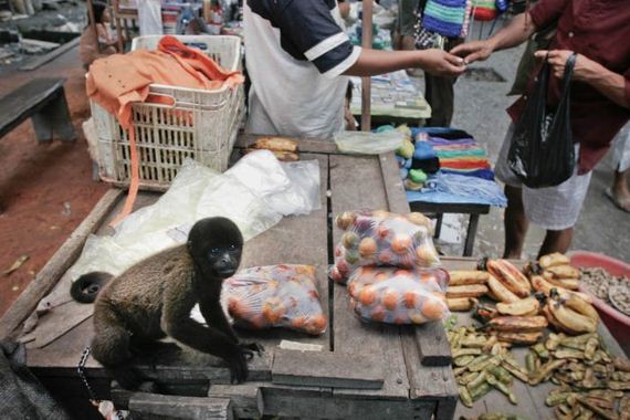 the-life-of-the-poorest