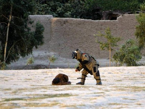 the_real_hurt_locker