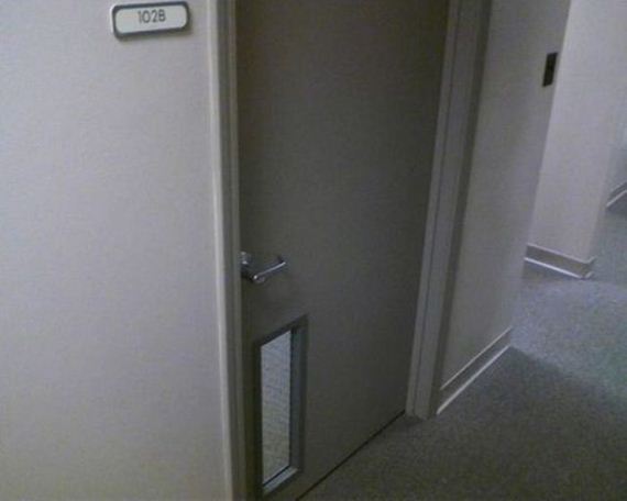 there_is_so_much_that_is_wrong_here