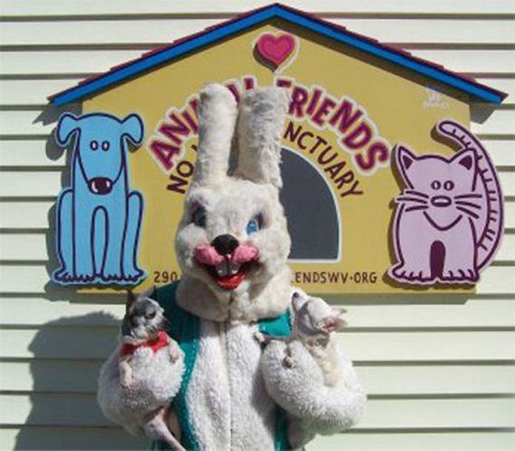 these_easter_photos