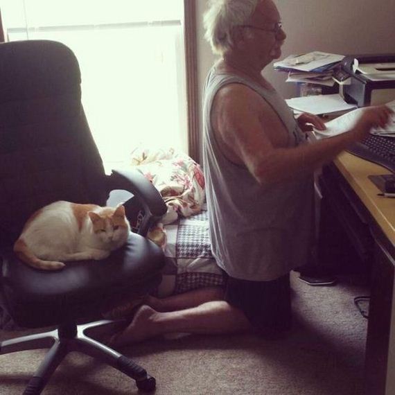 things_all_cat_owners_will_relate_to