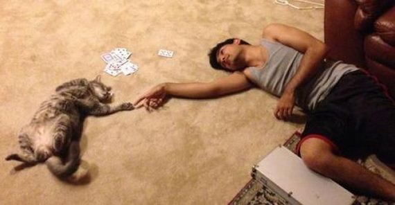 things_all_cat_owners_will_relate_to