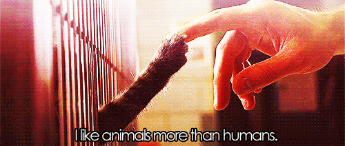 things_all_cat_owners_will_relate_to