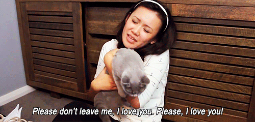 things_all_cat_owners_will_relate_to