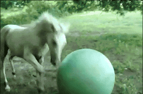 this_is_what_it_looks_like_when_balls_fight_back_16