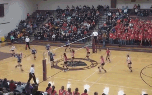 this_is_what_it_looks_like_when_balls_fight_back_16