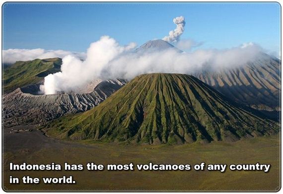 travel_facts