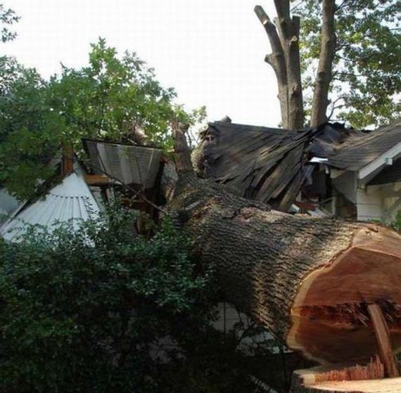 tree-cutting-fail