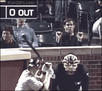 videobombs_are_the_new_photobombs