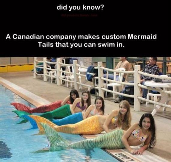 weird_and_unusual_stuff_that_is_totally_real