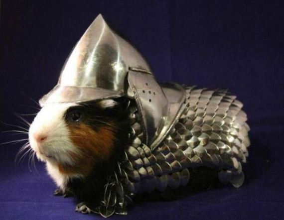 weird_and_unusual_stuff_that_is_totally_real