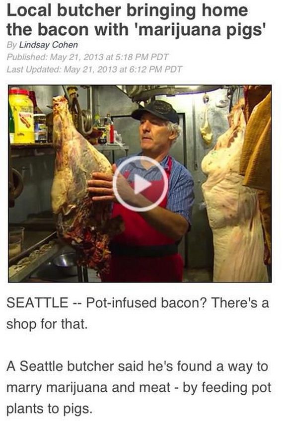 weird_and_unusual_stuff_that_is_totally_real