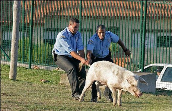 what_it_really_means_to_be_a_cop