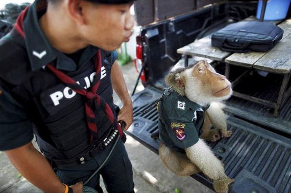 what_it_really_means_to_be_a_cop