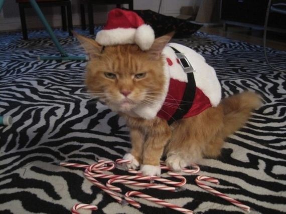 why-having-a-december-birthday