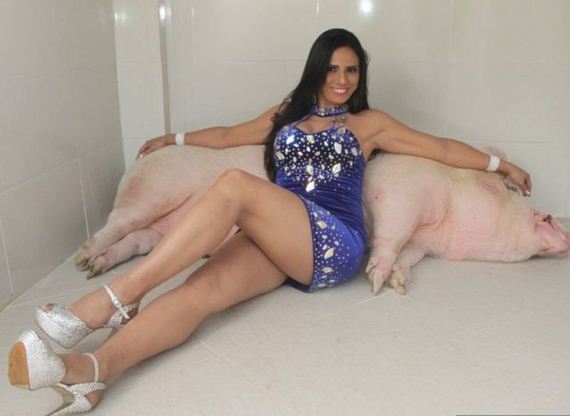 would_you_keep_a_250kg_pet_pig