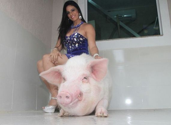 would_you_keep_a_250kg_pet_pig