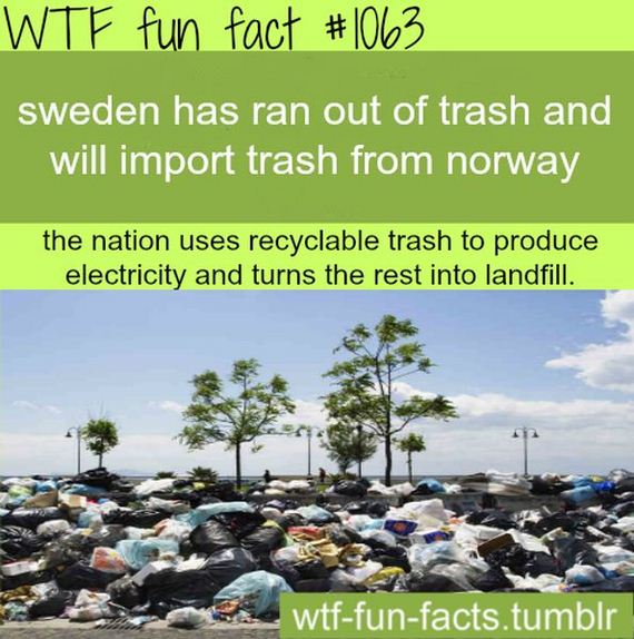 wtf_fun_facts