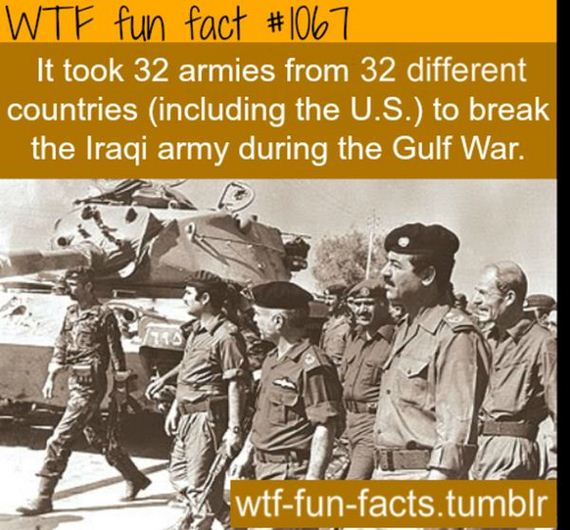 wtf_fun_facts